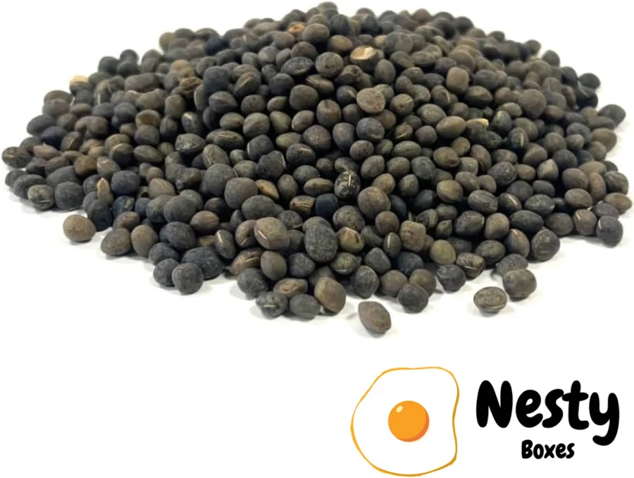 Vetch Sowing Seeds 1kg